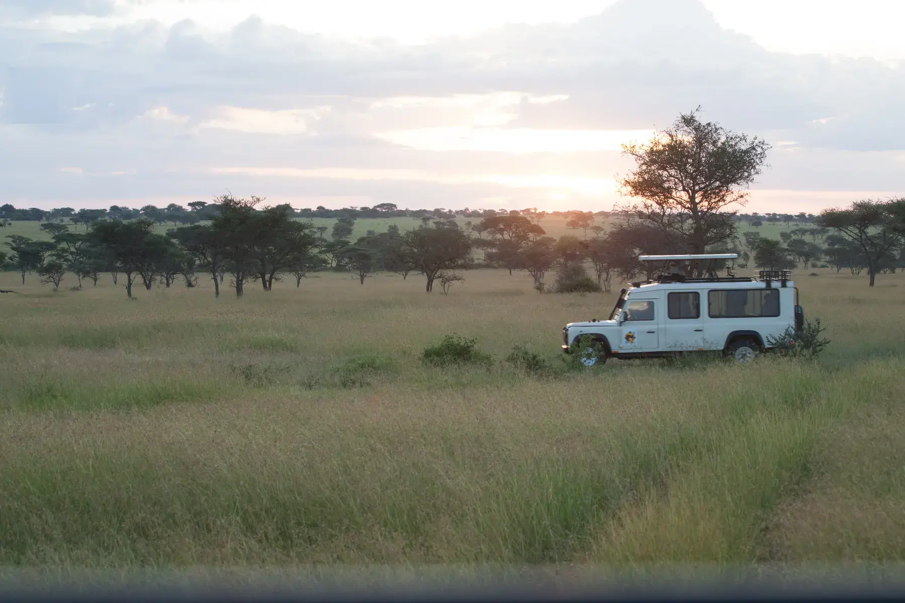 Serengeti Plains from Tanzania Photographic Safari