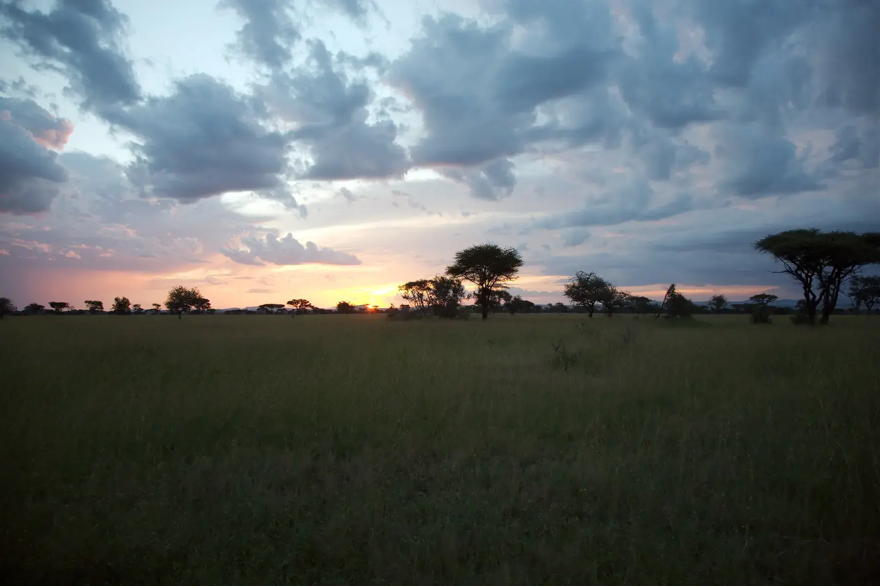 Sunset in the Serengeti from Tanzania Photographic Safari