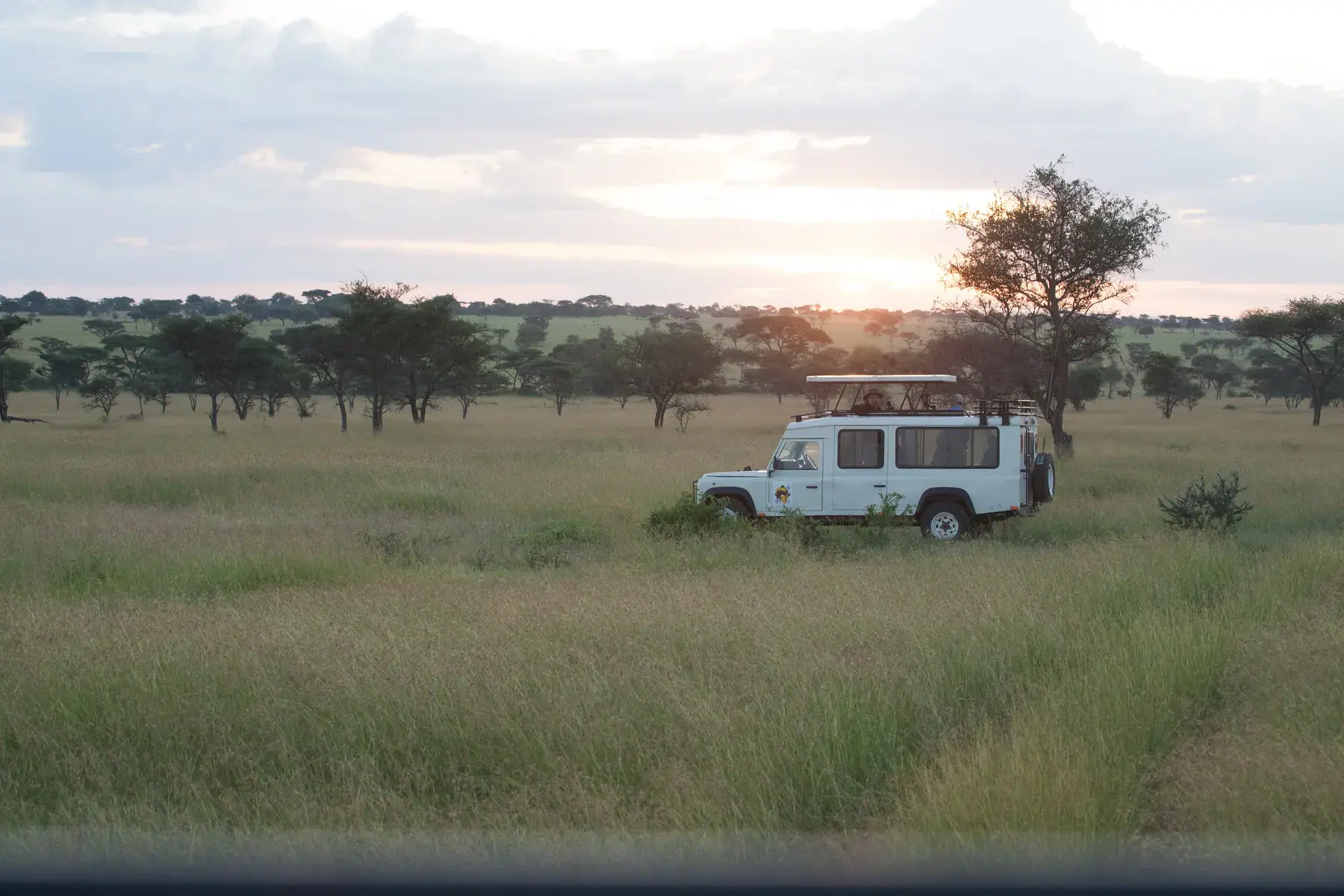 Serengeti Camp from Tanzania Photographic Safari