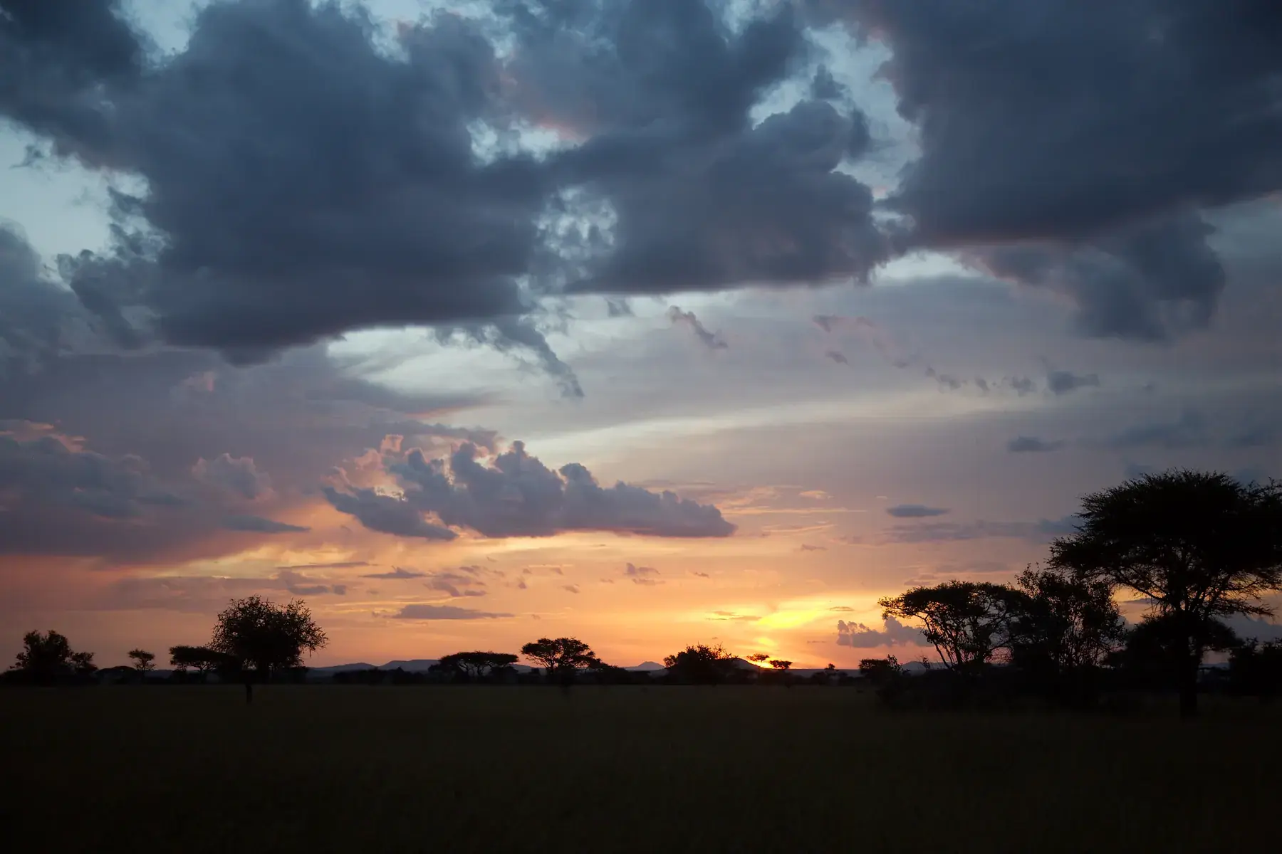 Sunset in the Serengeti from Tanzania Photographic Safari