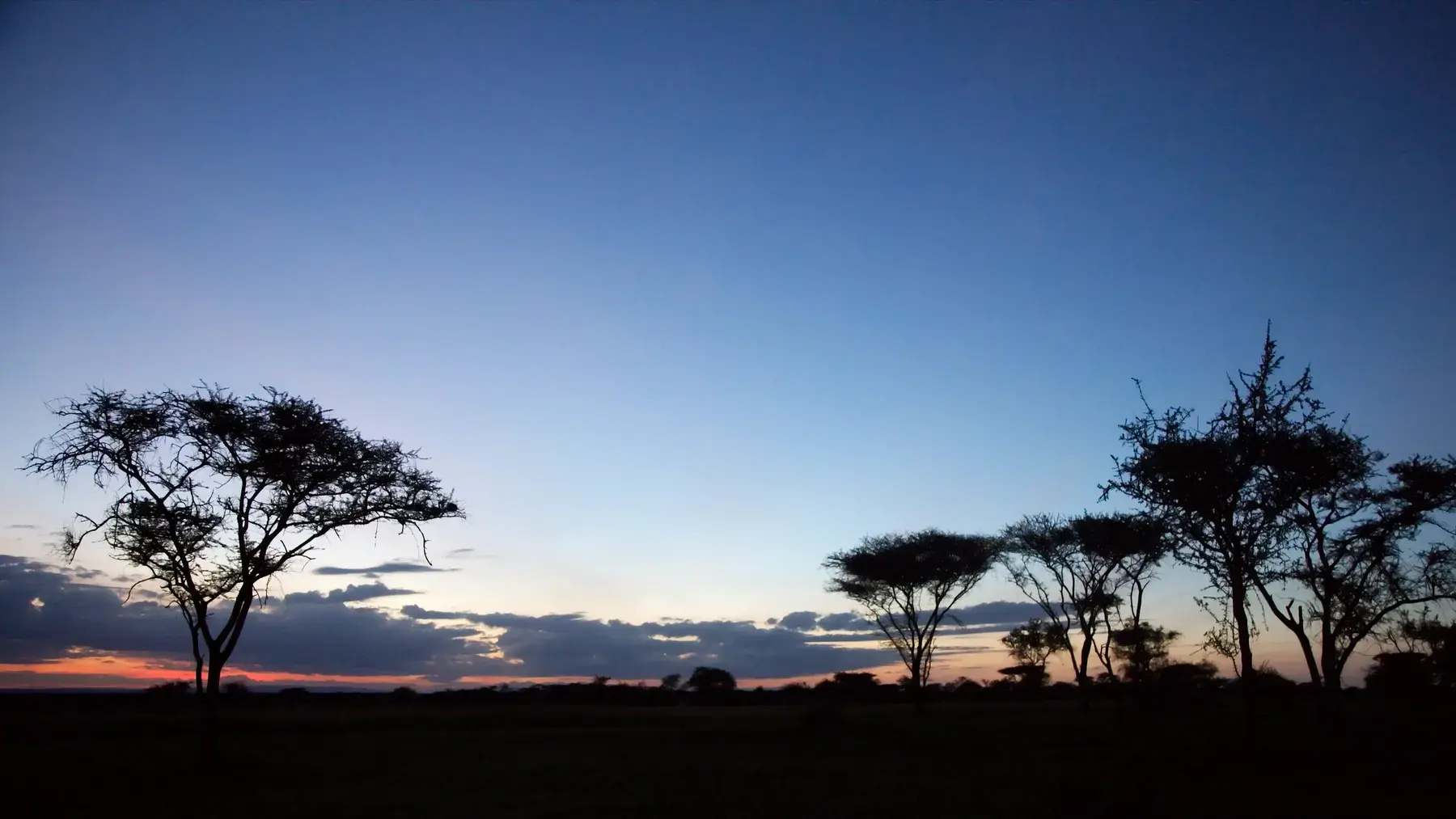 Serengeti Sunrise from Tanzania Photographic Safari