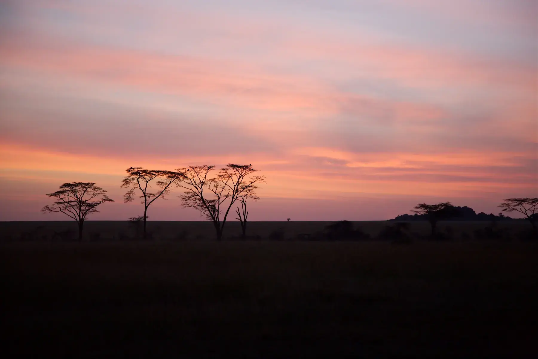 Serengeti Sunrise from Tanzania Photographic Safari
