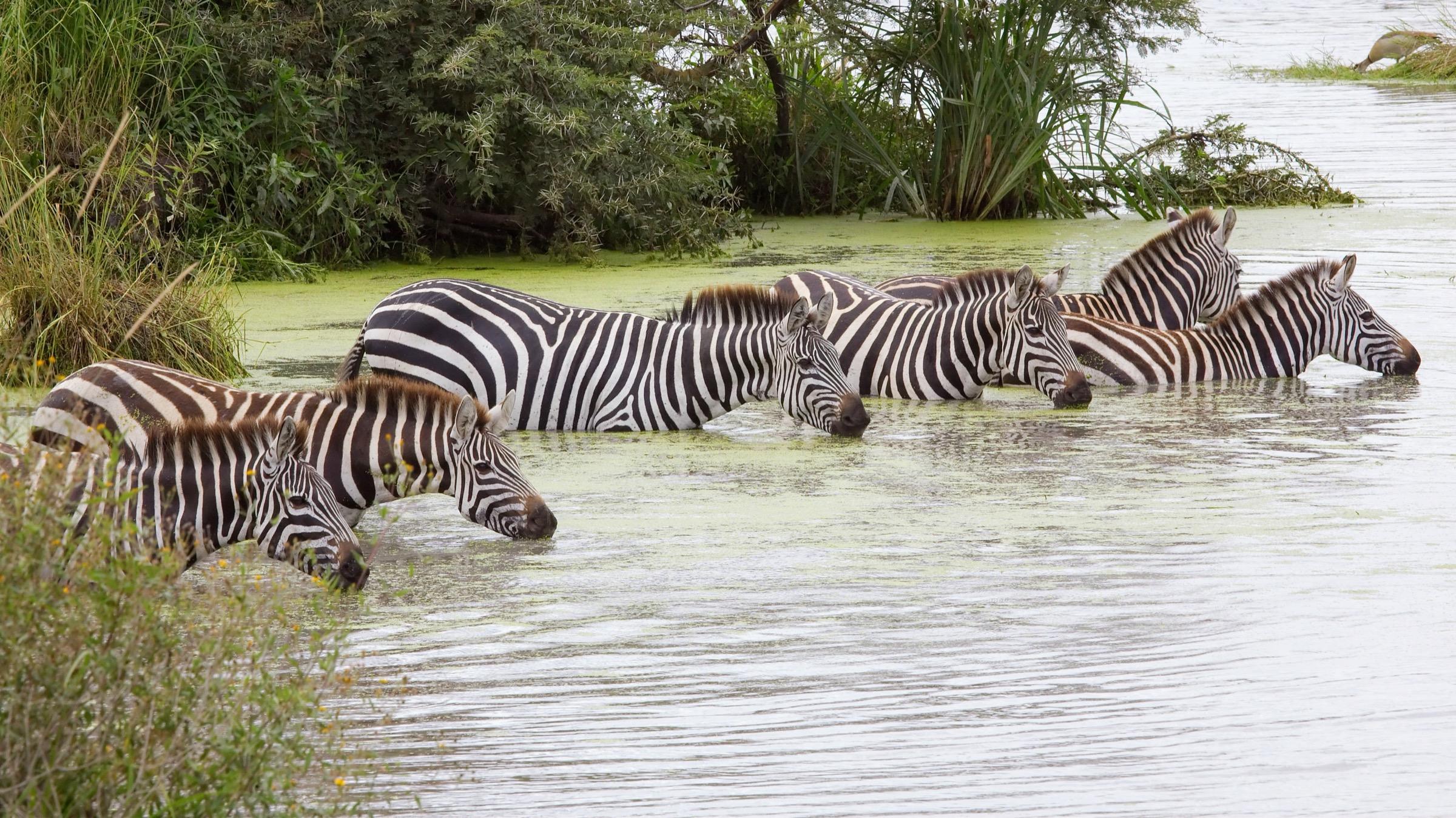 River Crossing