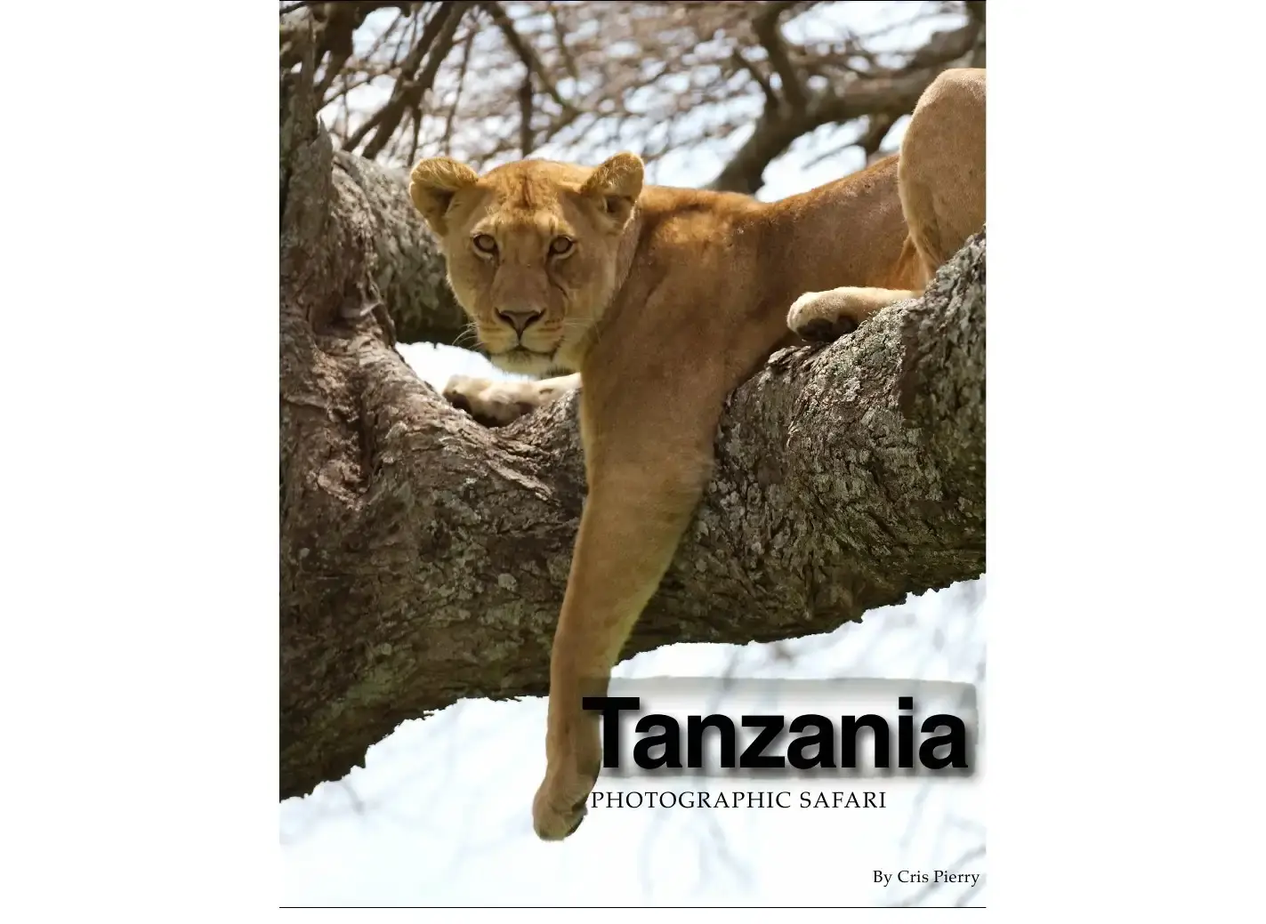 Cover of Tanzania Photographic Safari